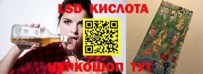 СК Моздок