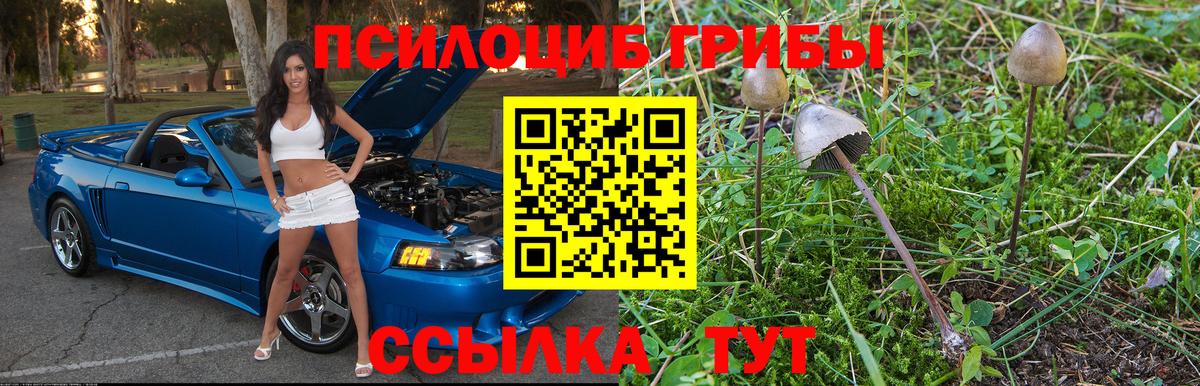 Галлюциногенные грибы Cubensis Черняховск