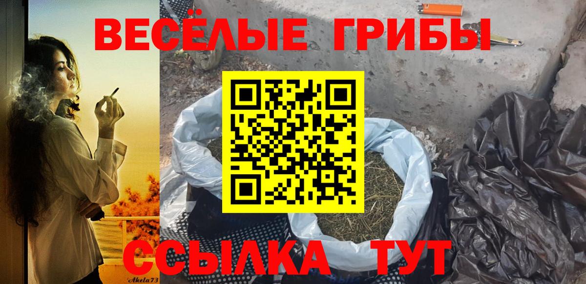 Галлюциногенные грибы GOLDEN TEACHER  Галлюциногенные грибы Psilocybe  Черняховск  купить наркоту  Вход с VPN 